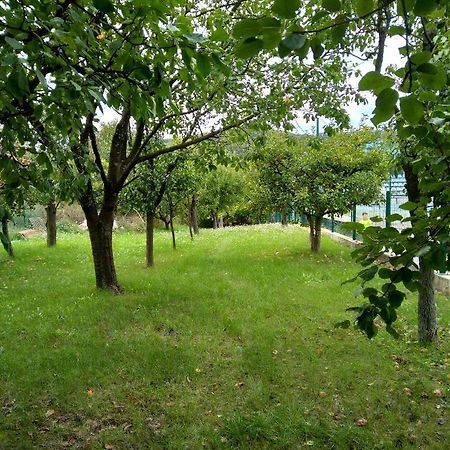 Vila Zvoncica Врднік Екстер'єр фото